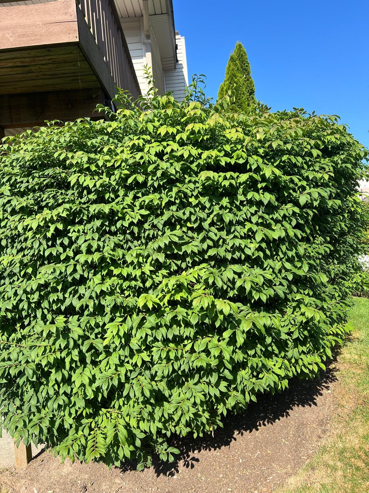 IMG-20250224-WA0012